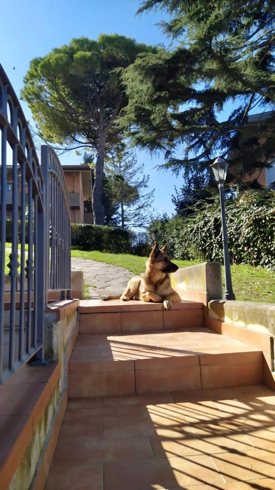 Appartamenti Pesaro Mare Ledimar Екстер'єр фото
